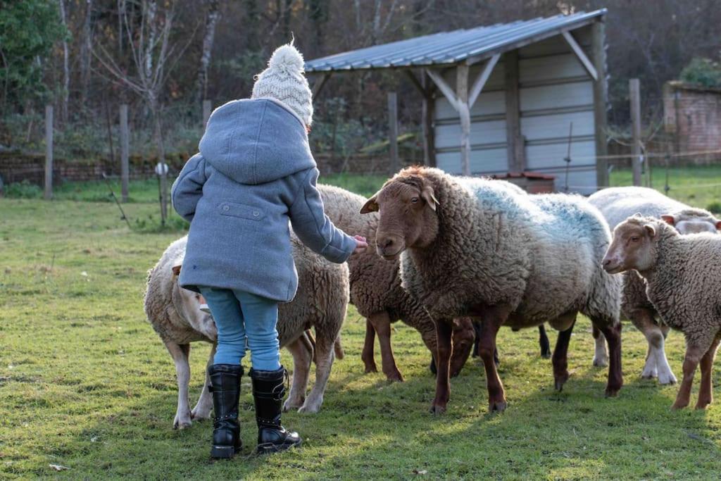 Maison Au Milieu Des Bois Et Des Animaux Jouy-le-Potier Exterior foto
