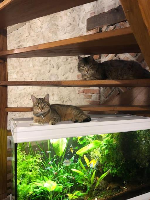 Maison Au Milieu Des Bois Et Des Animaux Jouy-le-Potier Exterior foto